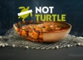 NotTurtle Soup, prato tradicional, comida de tartaruga